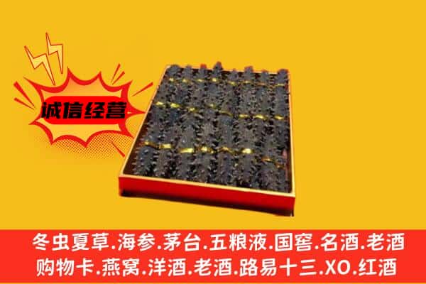 锡林郭勒回收海参